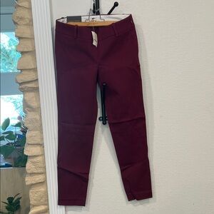 J. Crew Maroon Stretch Pants